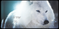 /album/trabalhos-ps/beccasign-png/